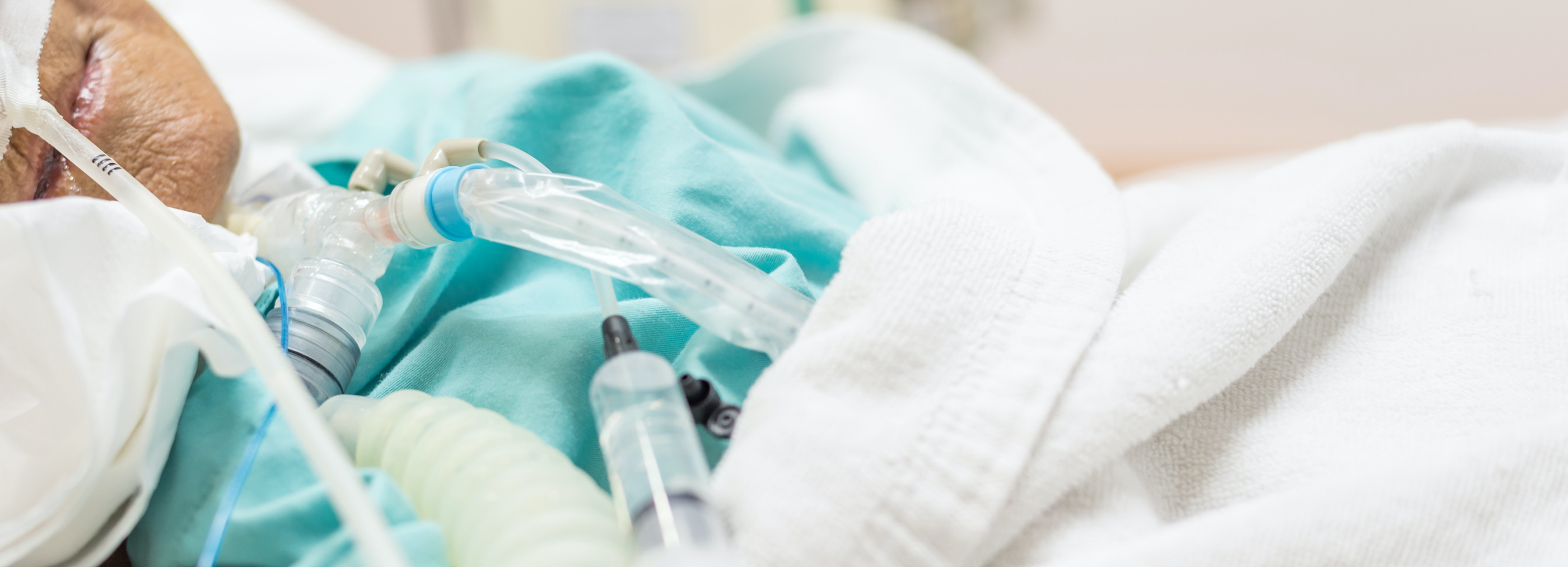 shutterstock_49645174@2x